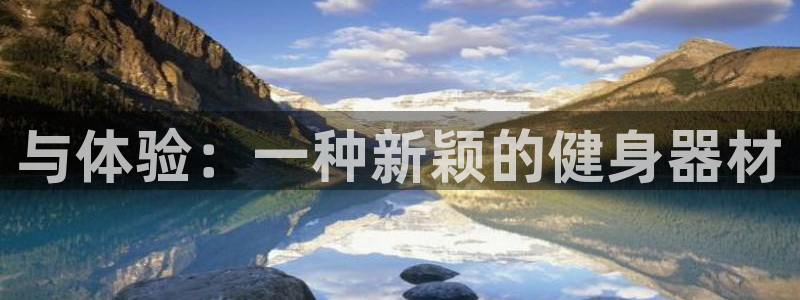 极悦平台注册流程详解图：与体验：一种新颖的健身器材