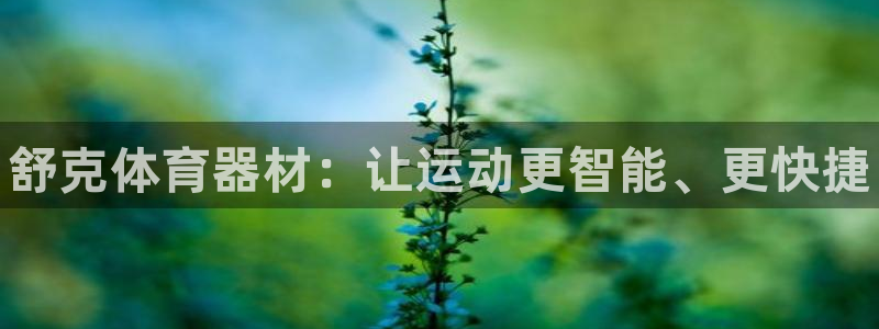 极悦官方网站入口网址是多少：舒克体育器材：让运动更智
