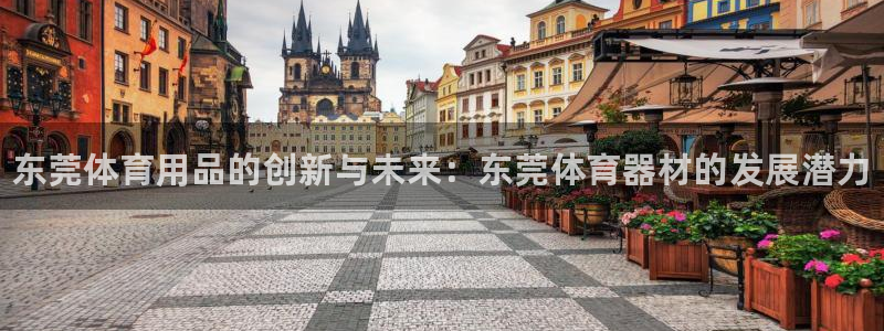 极悦平台官方网站下载：东莞体育用品的创新与未来：东莞