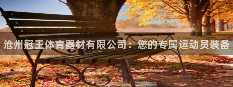 极悦官网的登录方法是什么：沧州冠王体育器材有限公司：您的专属