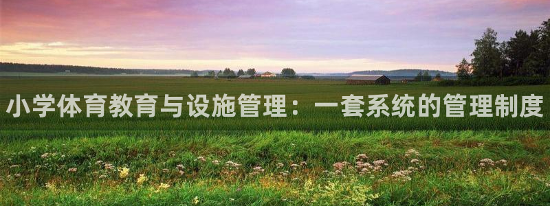 极悦平台官网下载中心网址：小学体育教育与设施管理：一套系统的
