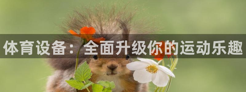 极悦平台的注册流程及注意事项有哪些