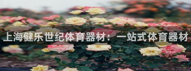 极悦平台登录最新版本更新内容在哪：上海健乐世纪体育器材：一站