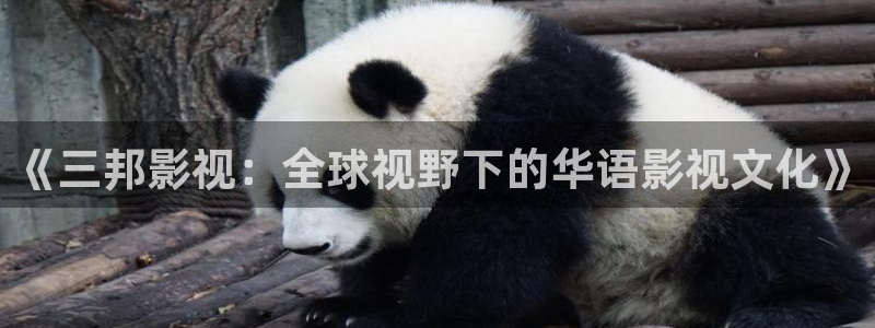 孙悟空视频动画片：《三邦影视：全球视野下的华语影视文化》