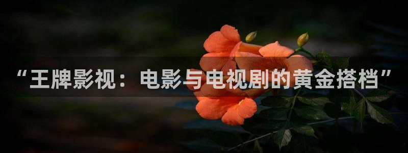 孙悟空视频大全免费观看：“王牌影视：电影与电视剧的黄金搭档”