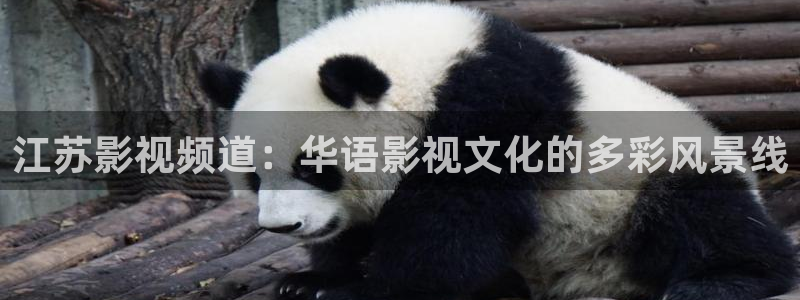 悟空免费观看：江苏影视频道：华语影视文化的多彩风景线
